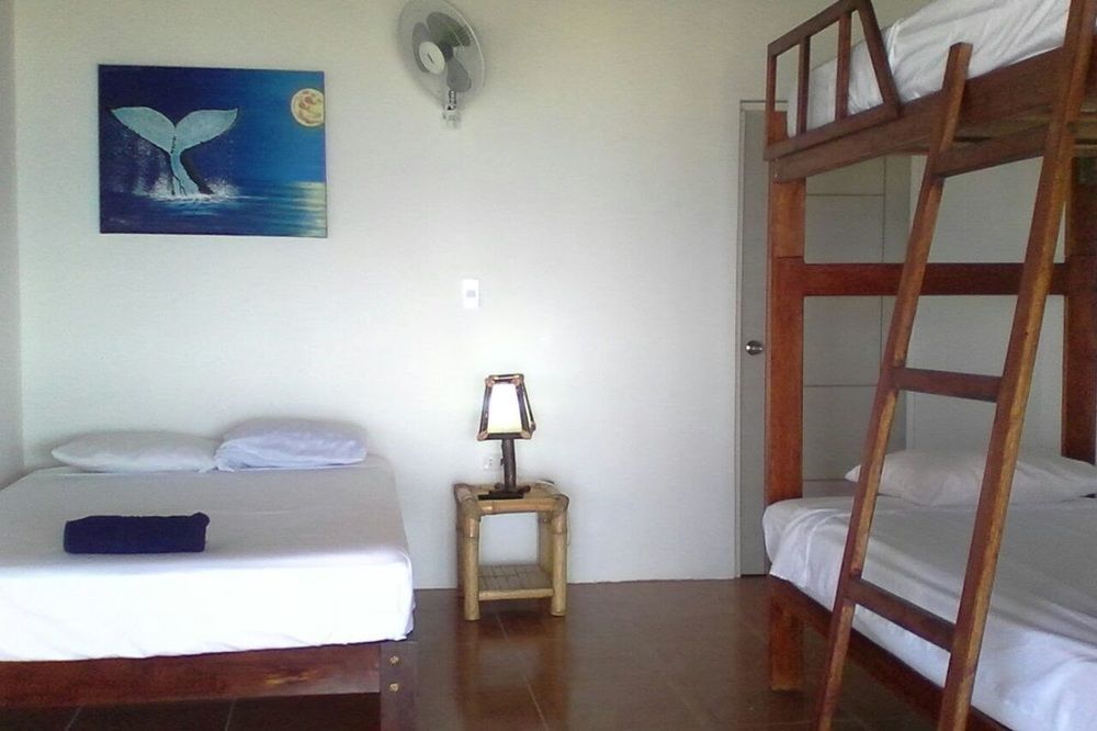 Las Tortuguitas Bungalows ลอสโอร์กานอส ภายนอก รูปภาพ